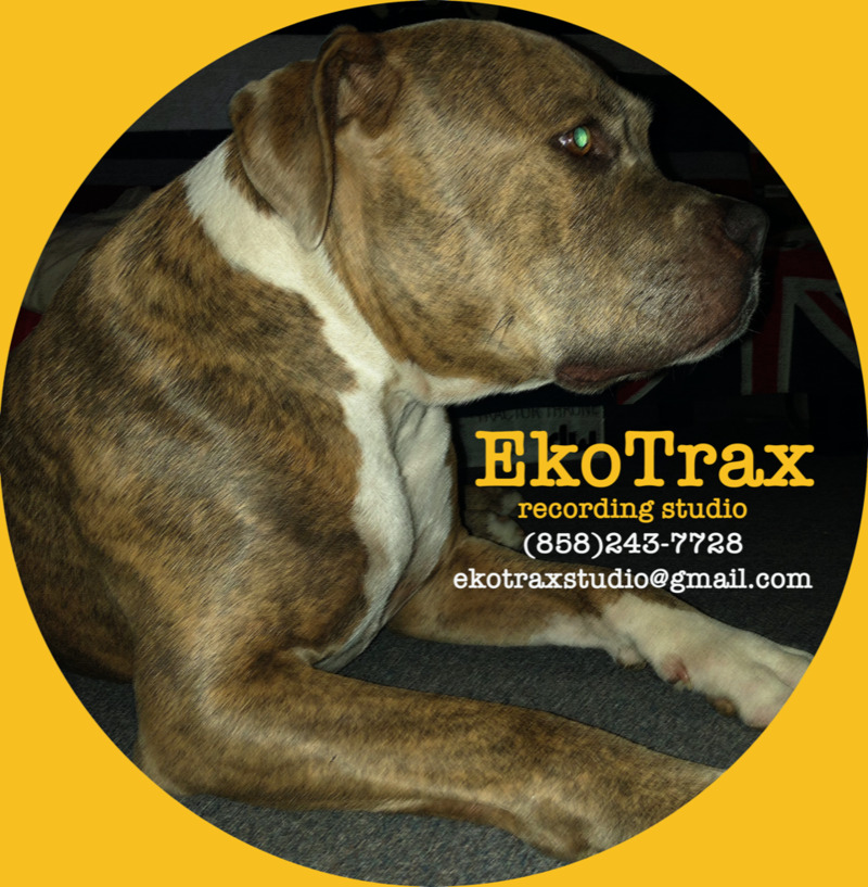EkoTrax Logo